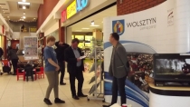 Urząd Miejski w Wolsztynie