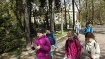 Urząd Miejski w Wolsztynie