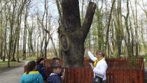 Urząd Miejski w Wolsztynie