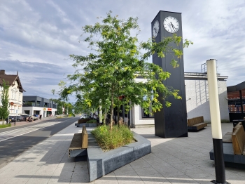 Urzd Miejski w Wolsztynie